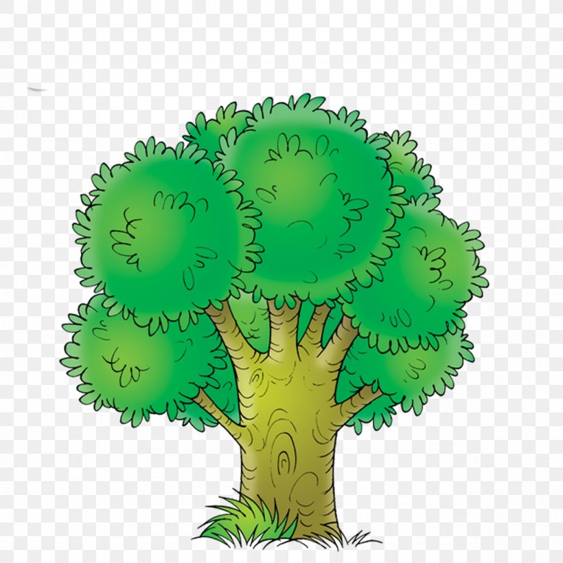 Tree Of Life Drawing Oak, PNG, 1181x1181px, Tree, Branch, Drawing, Family Tree, Grass Download Free