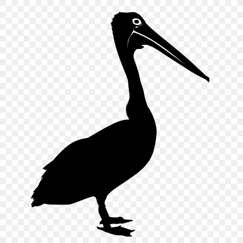 Bird Australian Pelican Drawing Clip Art, PNG, 1024x1024px, Bird, Australian Pelican, Beak, Black And White, Drawing Download Free