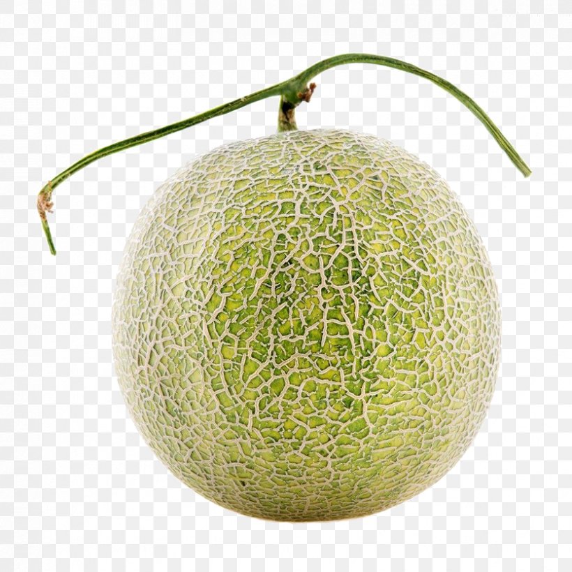 Honeydew Cantaloupe Galia Melon, PNG, 836x836px, Cantaloupe, Cucumber, Cucumber Gourd And Melon Family, Cucumis, Fruit Download Free