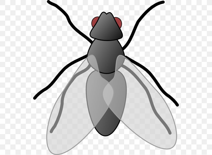 Insect Fly Free Content Clip Art, PNG, 564x601px, Insect, Arthropod, Black And White, Cartoon, Fictional Character Download Free