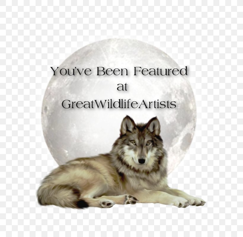 Kunming Wolfdog Czechoslovakian Wolfdog Arctic Wolf Clip Art, PNG, 800x800px, Kunming Wolfdog, Animal, Arctic Wolf, Black Wolf, Carnivoran Download Free