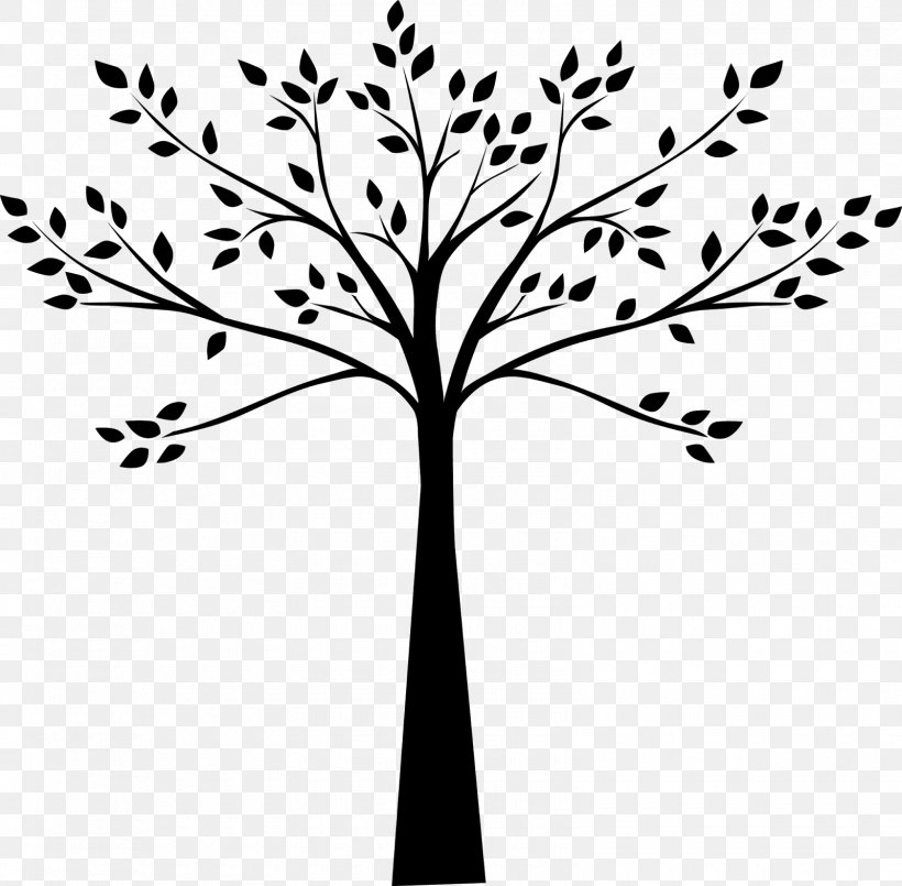 Tree Drawing Line Art Black And White, PNG, 1600x1571px, Tree, Art, Artwork, Black And White, Branch Download Free