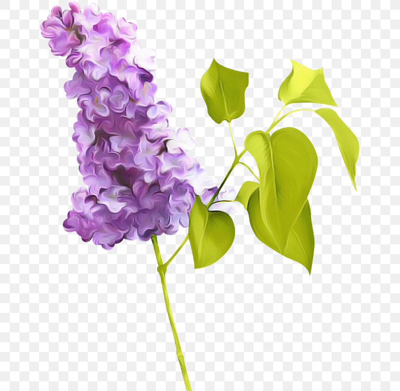 Artificial Flower, PNG, 655x800px, Flower, Artificial Flower, Cornales, Cut Flowers, Hydrangea Download Free
