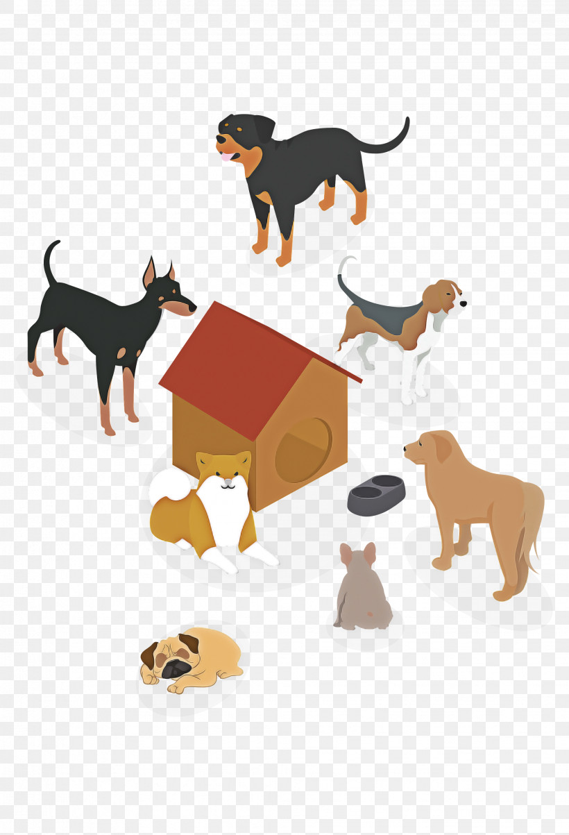 Dog Animal Figure Tail Transylvanian Hound Companion Dog, PNG, 2044x3000px, Dog, Animal Figure, Companion Dog, English Foxhound, German Pinscher Download Free