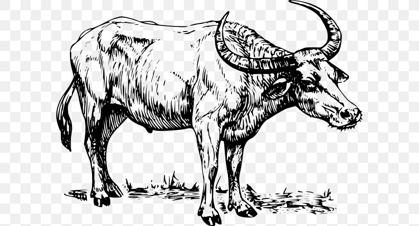 Download Clip Art, PNG, 600x444px, Document, Animal Figure, Art, Black And White, Bull Download Free