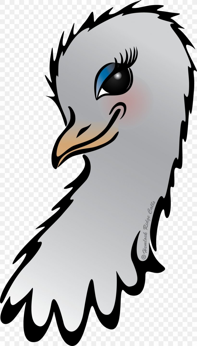 Beak Bird Of Prey Clip Art, PNG, 1326x2329px, Beak, Art, Artwork, Bird, Bird Of Prey Download Free