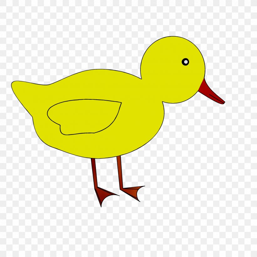 Duck Clip Art Beak Cartoon, PNG, 2400x2400px, Duck, American Black Duck, Art, Beak, Bird Download Free