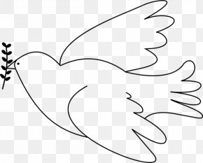 Dove Pattern - Rock Dove Columbidae Doves As Symbols Drawing Peace PNG
