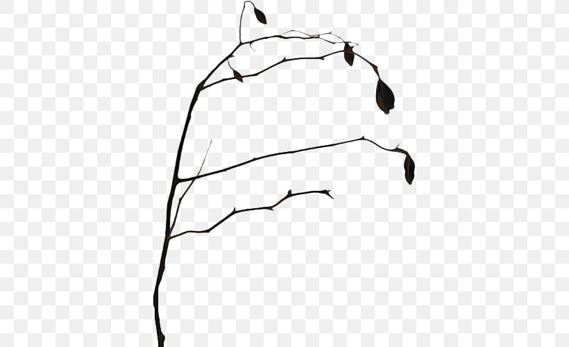 Twig Design Tree Pattern Wood, PNG, 500x500px, Twig, Blackandwhite, Coloring Book, Creative Work, Drawing Download Free