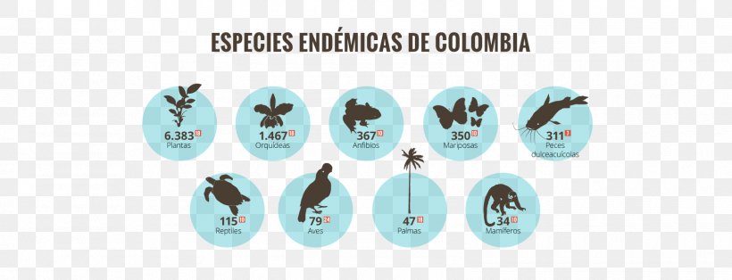 Biodiversity Of Colombia Biodiversity Of Colombia Alexander Von Humboldt Biological Resources Research Institute International Day For Biological Diversity, PNG, 1600x613px, Colombia, Basabizitza, Biodiversity, Biodiversity Of Colombia, Body Jewelry Download Free