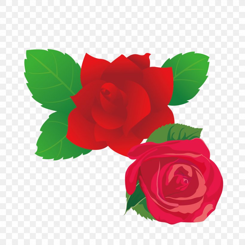 Flower Rose Clip Art, PNG, 1500x1500px, Flower, Arabesque, Art, China Rose, Cut Flowers Download Free