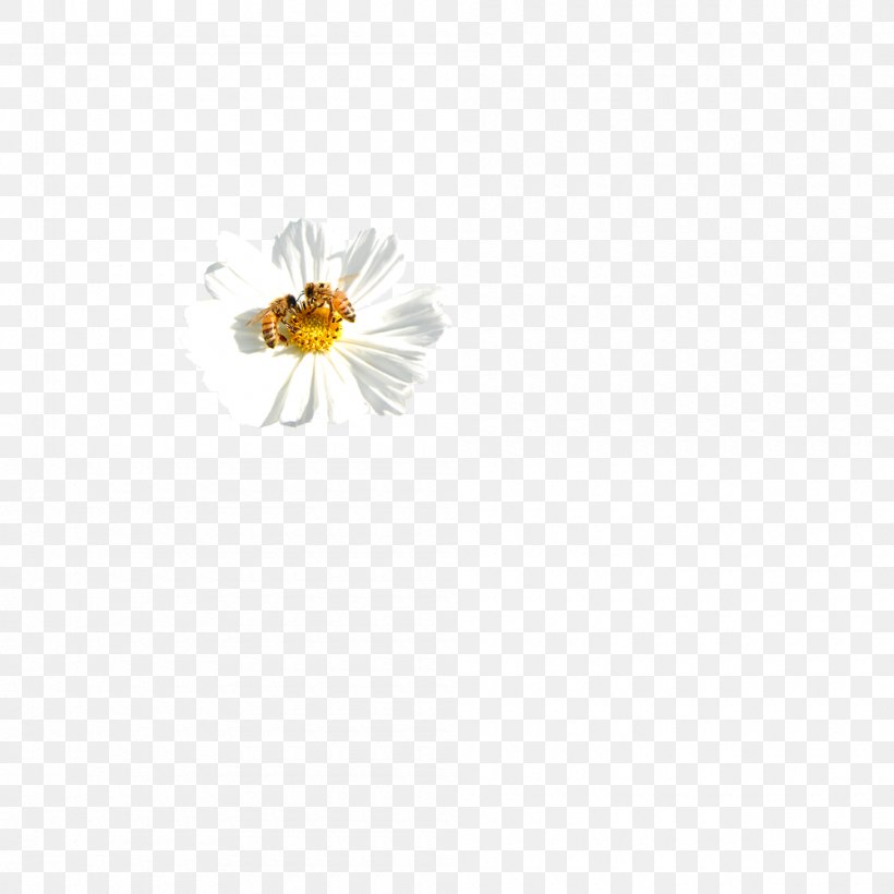 Honey Bee Yellow Pattern, PNG, 1000x1000px, Honey Bee, Bee, Honey, Insect, Invertebrate Download Free
