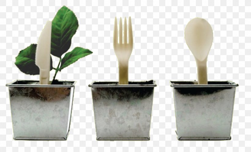 Biodegradable Plastic Envase Corn Starch Recycling, PNG, 1095x664px, Plastic, Biodegradable Plastic, Biodegradation, Corn Starch, Cutlery Download Free