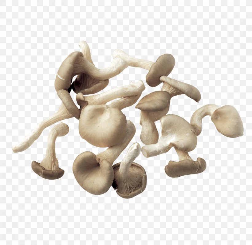 Common Mushroom Fungus Clip Art, PNG, 1031x1000px, Mushroom, Common Mushroom, Food, Fungus, Ingredient Download Free