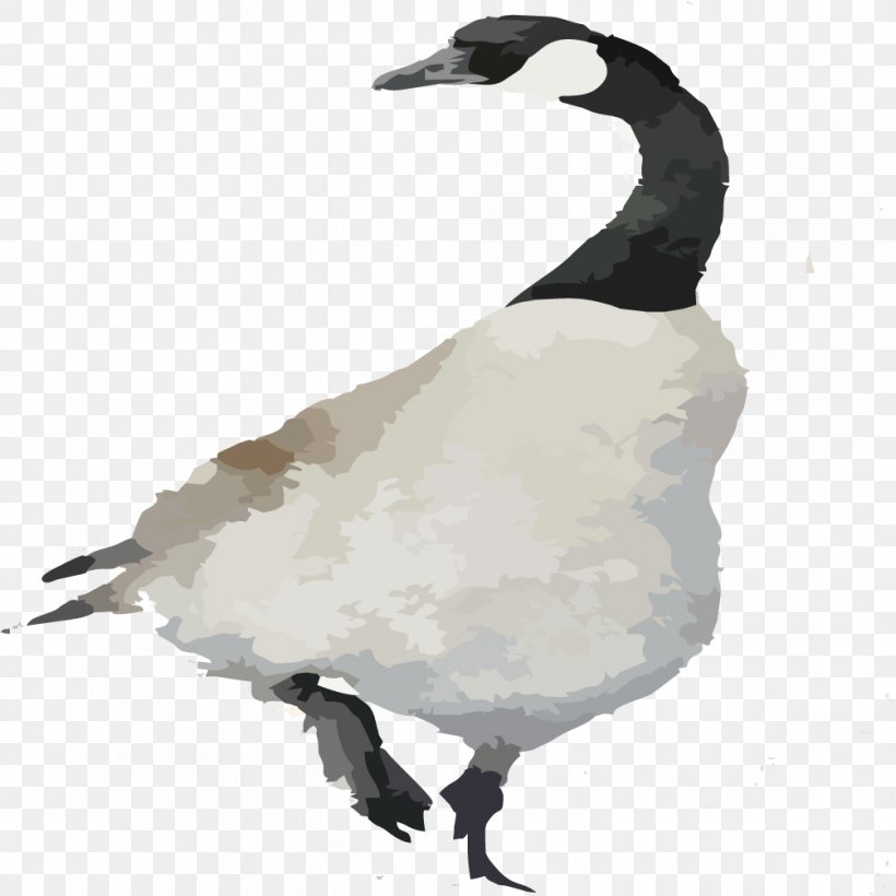 Duck Goose Cygnini Bird, PNG, 1004x1004px, Duck, Beak, Bird, Crane Like Bird, Cygnini Download Free