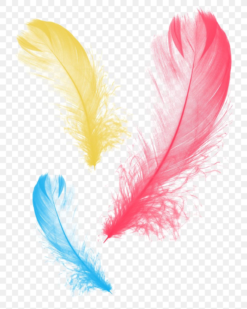 Feather Graphic Design, PNG, 724x1024px, Feather, Art, Blue, Cartoon, Color Download Free