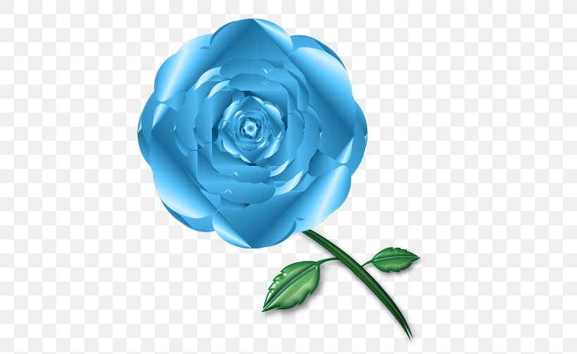 Garden Roses Blue Rose Cabbage Rose Cut Flowers, PNG, 503x503px, Garden Roses, Blue, Blue Rose, Cabbage Rose, Cut Flowers Download Free