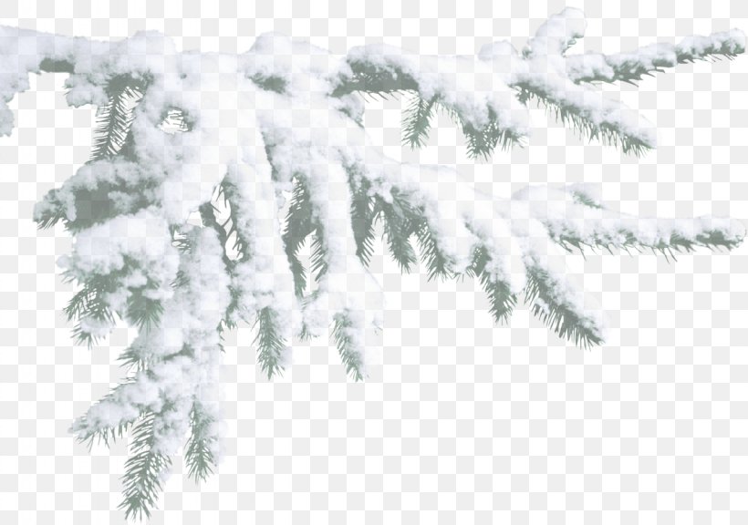 Snow Blog Clip Art, PNG, 1280x900px, Snow, Blog, Branch, Conifer, December Download Free