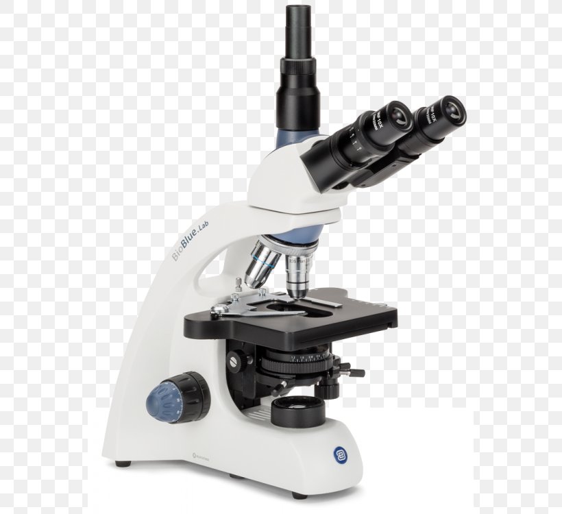Stereo Microscope Optics Microscopy Objective, PNG, 563x750px, Microscope, Achromatic Lens, Binoculair, Camera Lens, Darkfield Microscopy Download Free