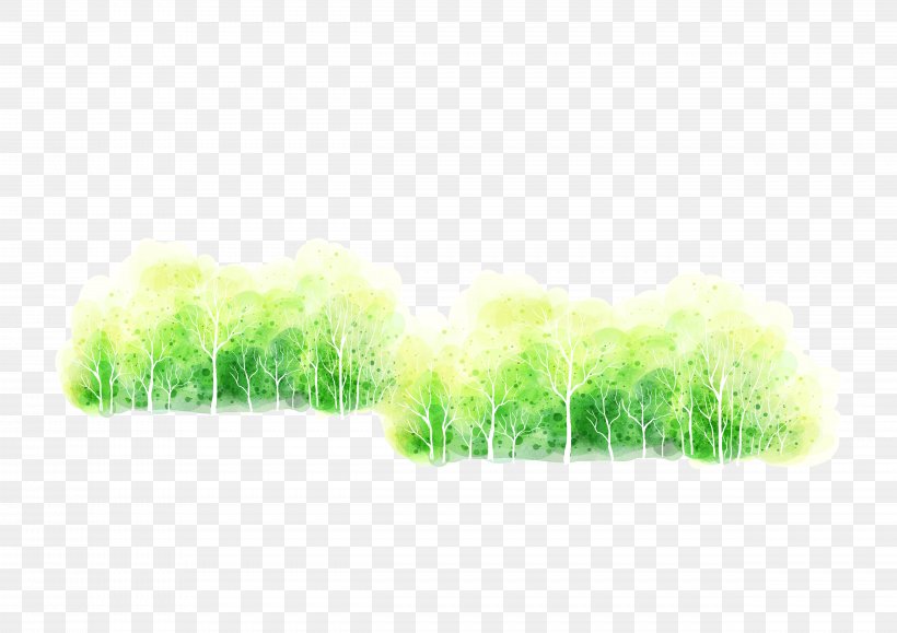 Tree Euclidean Vector Computer File, PNG, 4961x3508px, Tree, Grass, Grass Family, Gratis, Green Download Free