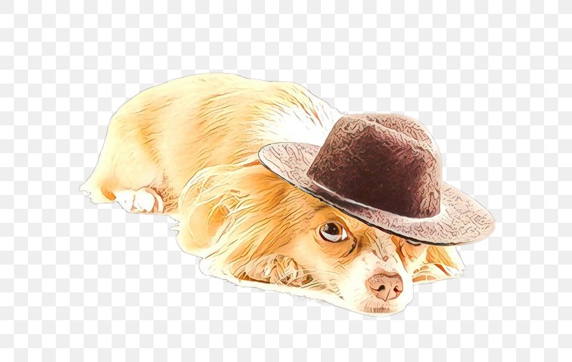 Cowboy Hat, PNG, 600x520px, Puppy, Cocker Spaniel, Companion Dog, Costume, Costume Hat Download Free