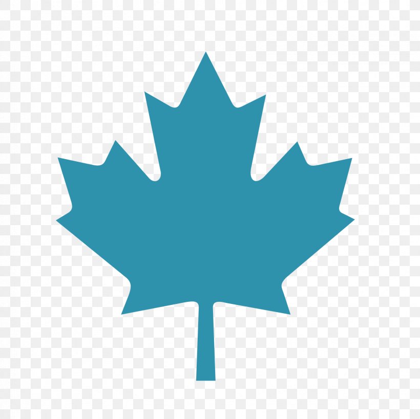 Flag Of Canada Maple Leaf, PNG, 1668x1667px, Canada, Flag, Flag Of Canada, Flat Design, Flowering Plant Download Free