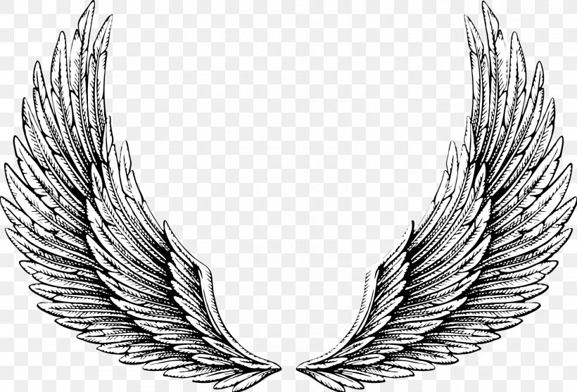 Vector Graphics Drawing Clip Art Illustration Tattoo, PNG, 1700x1155px, Drawing, Black And White, Feather, Monochrome, Monochrome Photography Download Free