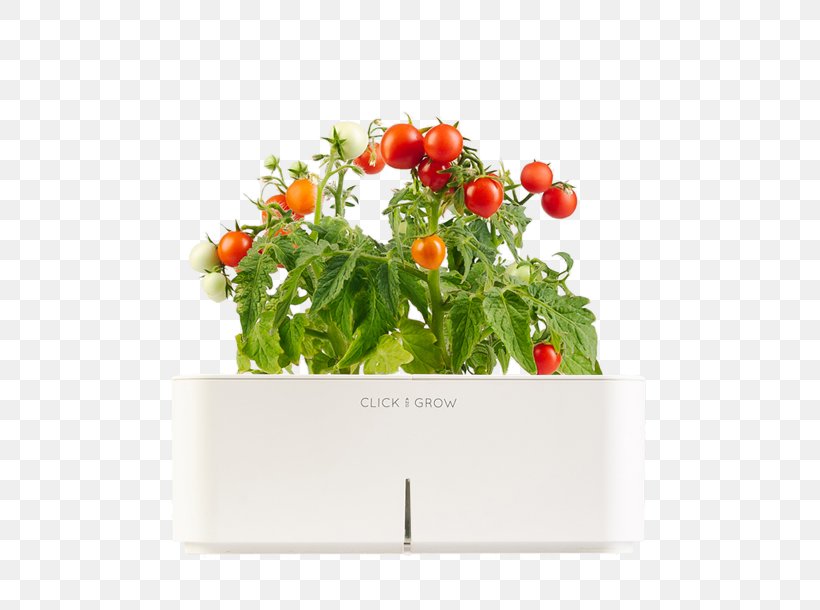 Vegetable Gardening Herb Growing Fruit, PNG, 760x610px, Vegetable, Artificial Flower, Basil, Cherry Tomato, Cut Flowers Download Free