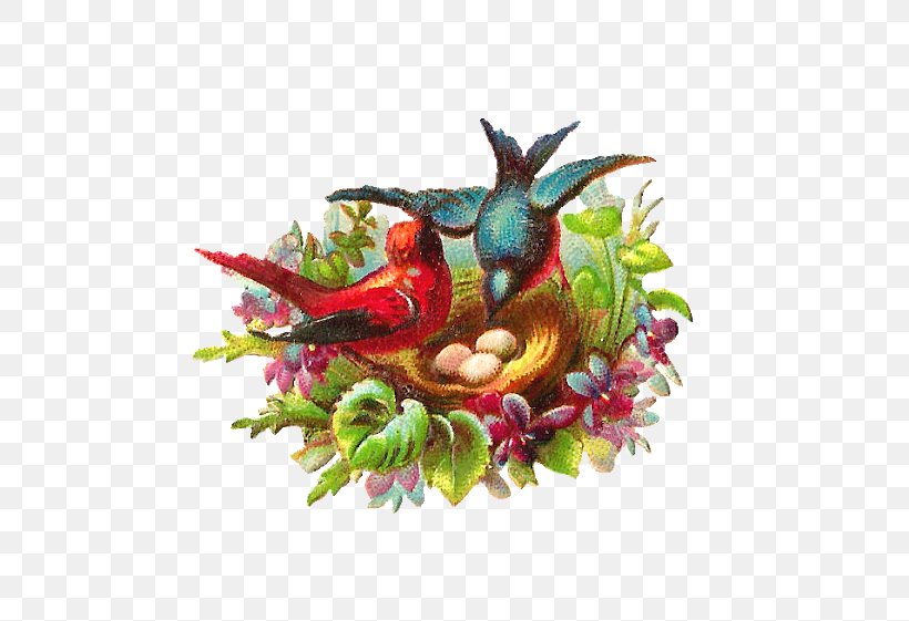 Bird Nest Lovebird Clip Art, PNG, 640x561px, Bird, Art, Bird Nest, Birdcage, Bluebird Download Free