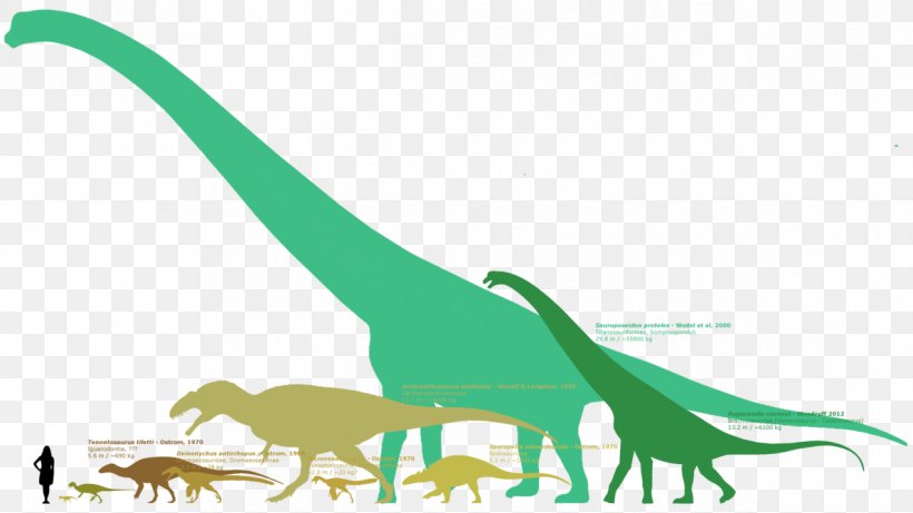 Sauroposeidon Cloverly Formation Argentinosaurus Tenontosaurus Supersaurus, PNG, 1191x670px, Sauroposeidon, Alamosaurus, Argentinosaurus, Art, Astrodon Download Free