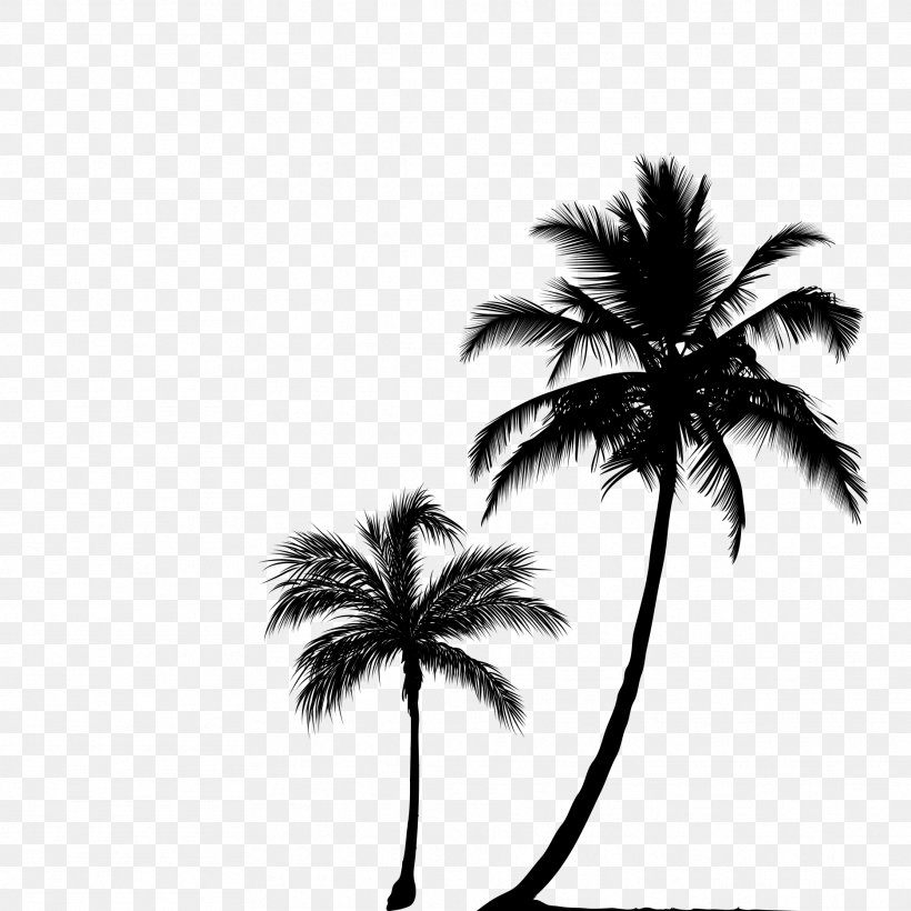 Arecaceae Tree Silhouette Clip Art, PNG, 1871x1871px, Arecaceae, Arecales, Black And White, Drawing, Monochrome Download Free