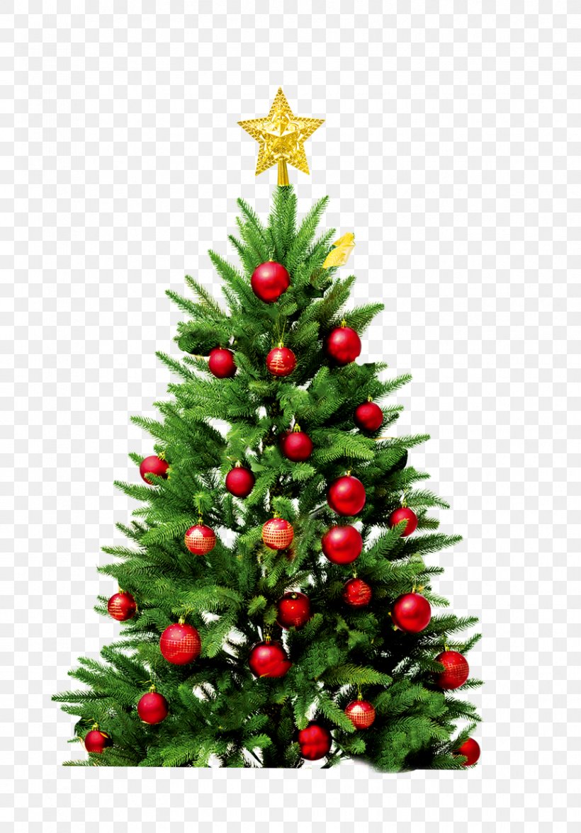 Santa Claus New Year Tree Artificial Christmas Tree, PNG, 863x1238px, Santa Claus, Artificial Christmas Tree, Bolas, Christmas, Christmas Decoration Download Free