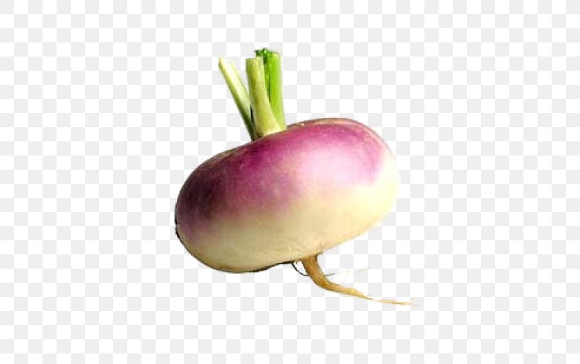 Turnip Root Vegetables Rutabaga Eating, PNG, 500x515px, Turnip, Beet, Cabbage, Carrot, Diet Food Download Free