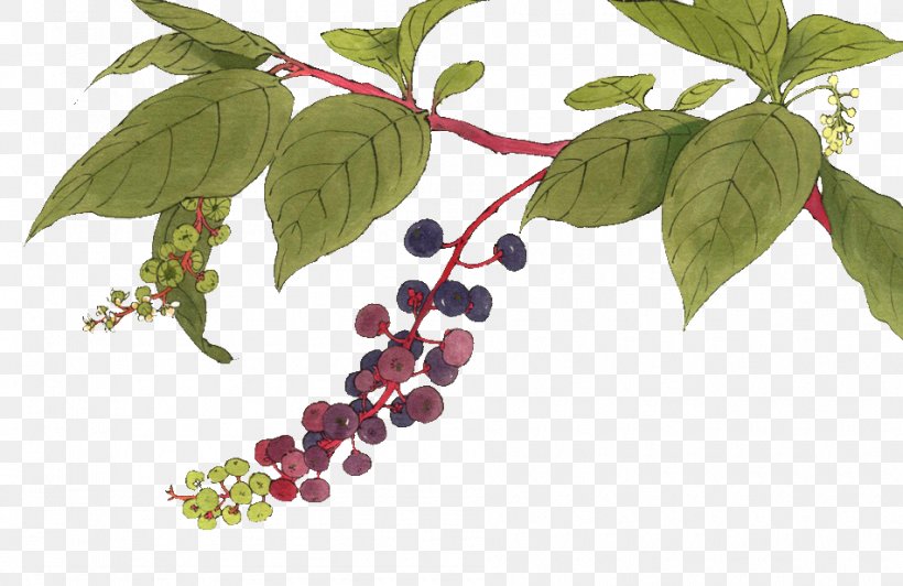 Adobe Illustrator, PNG, 950x617px, Color, Artworks, Berry, Branch, Flower Download Free