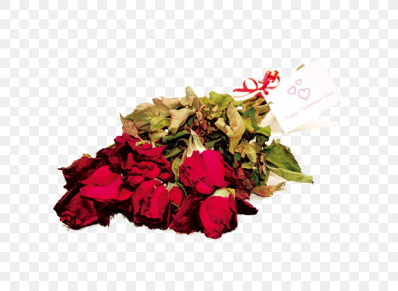 Garden Roses Wilting 69 Ways To Get A Job In Advertising Cut Flowers, PNG, 600x600px, Garden Roses, Australia, Cut Flowers, Floral Design, Floristry Download Free