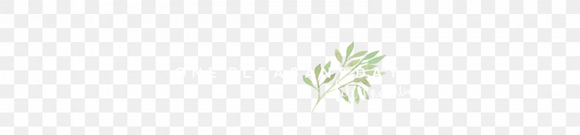 Grasses Desktop Wallpaper Leaf Plant Stem Close-up, PNG, 3180x745px, Grasses, Close Up, Closeup, Commodity, Computer Download Free