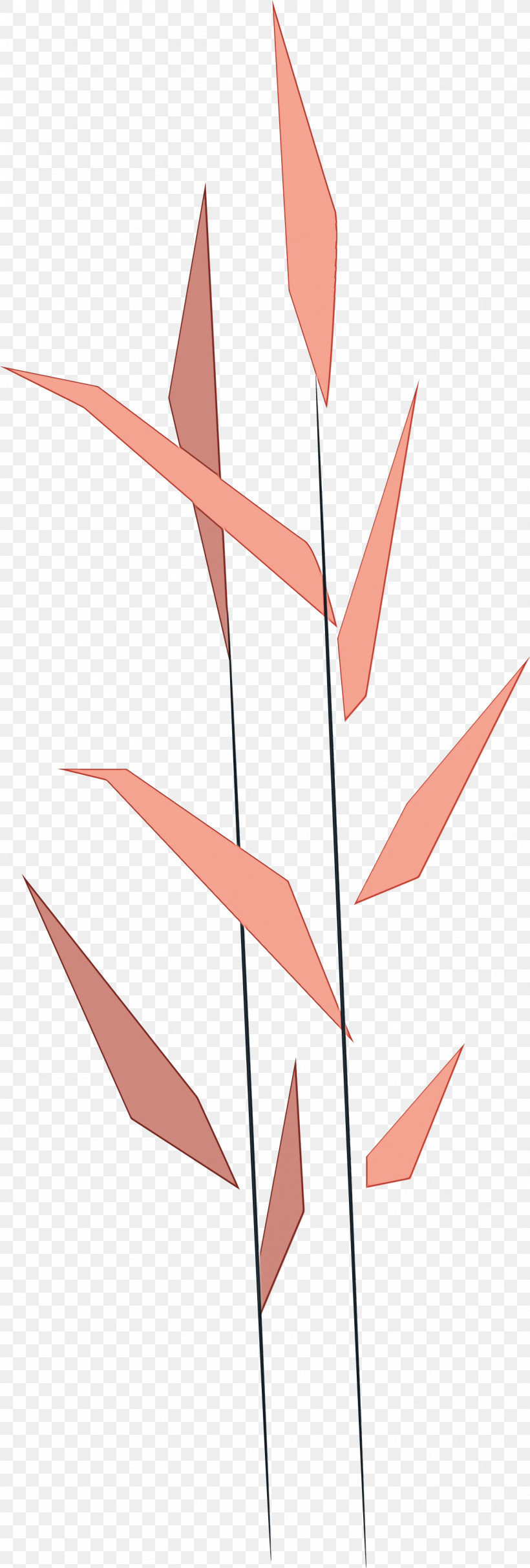 Leaf Angle Line Point Pattern, PNG, 1306x3864px, Watercolor, Angle, Biology, Leaf, Line Download Free