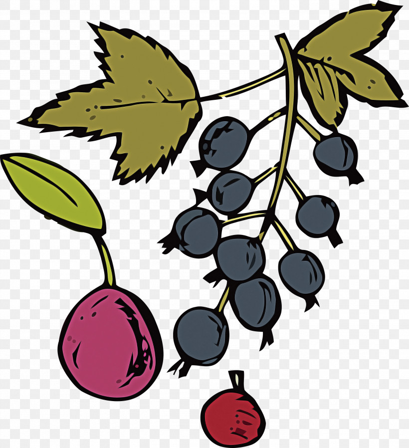 Leaf Grape Tree Fruit Flower, PNG, 2738x3000px, Leaf, Biology, Family Grapevine, Flower, Fruit Download Free