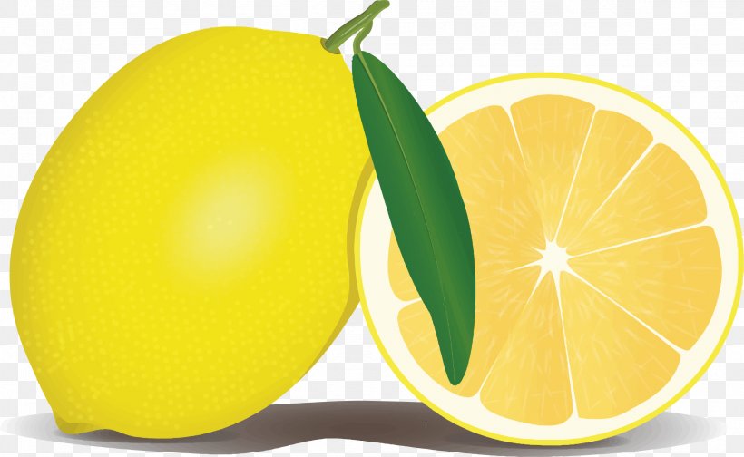 Lemon Health Symptom Vitamin C Disease, PNG, 2324x1430px, Lemon, Antioxidant, Citric Acid, Citron, Citrus Download Free