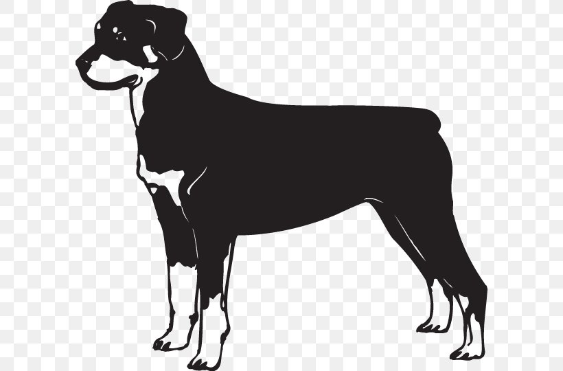Rottweiler German Shepherd Dobermann Great Dane Bulldog, PNG, 600x540px, Rottweiler, Black, Black And White, Breed, Bulldog Download Free