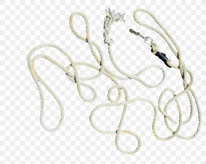 Silver Necklace Body Jewellery Chain, PNG, 4103x3264px, Silver, Body Jewellery, Body Jewelry, Chain, Fashion Accessory Download Free