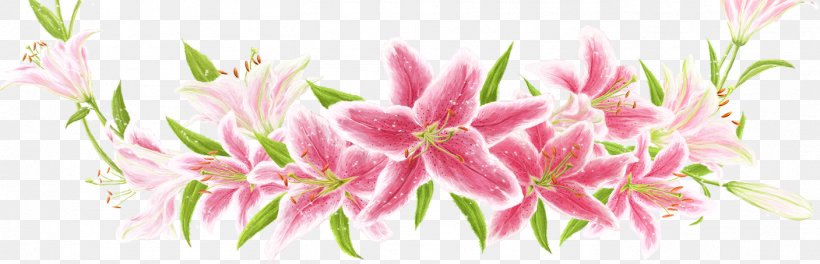 Wall Decal Flower Lilium Sticker, PNG, 1407x453px, Wall Decal, Blossom, Cut Flowers, Decal, Floral Design Download Free