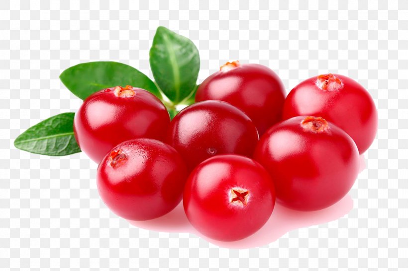 Barbados Cherry Cranberry Juice Vaccinium Corymbosum Fruit, PNG, 1200x800px, Barbados Cherry, Acerola, Acerola Family, Antioxidant, Berry Download Free