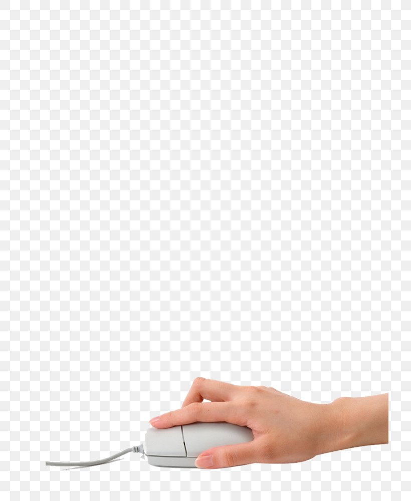 Computer Mouse Download Computer Graphics, PNG, 730x1000px, Computer Mouse, Carpal Tunnel Syndrome, Computer, Computer Graphics, Finger Download Free