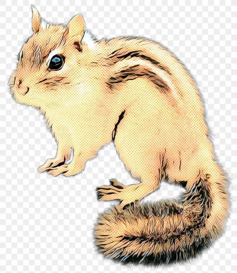 Squirrel Cartoon, PNG, 2021x2333px, Chipmunk, Computer Mouse, Eastern Chipmunk, Fawn, Fox Squirrel Download Free