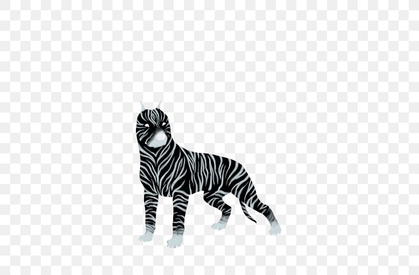 Tiger Cat Whiskers Zebra Terrestrial Animal, PNG, 475x538px, Tiger, Animal, Big Cat, Big Cats, Black Download Free