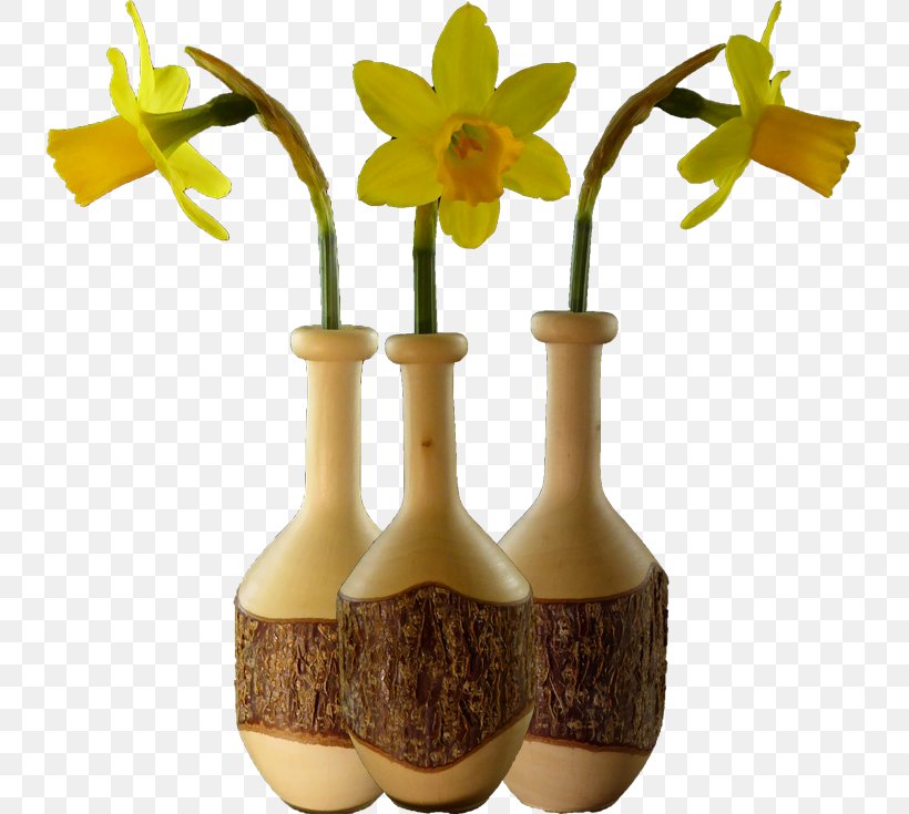 Vase Flowerpot Glass Bottle, PNG, 735x735px, Vase, Bottle, Flower, Flowerpot, Glass Download Free