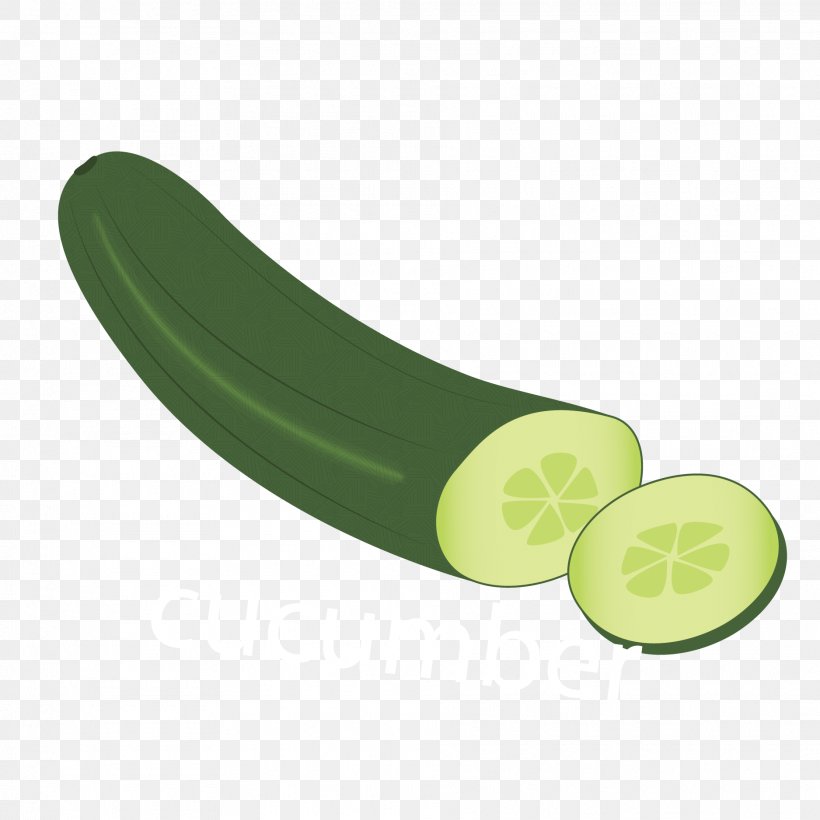 Cucumber Euclidean Vector, PNG, 1875x1875px, Cucumber, Computer Graphics, Cucumber Gourd And Melon Family, Cucumis, Element Download Free