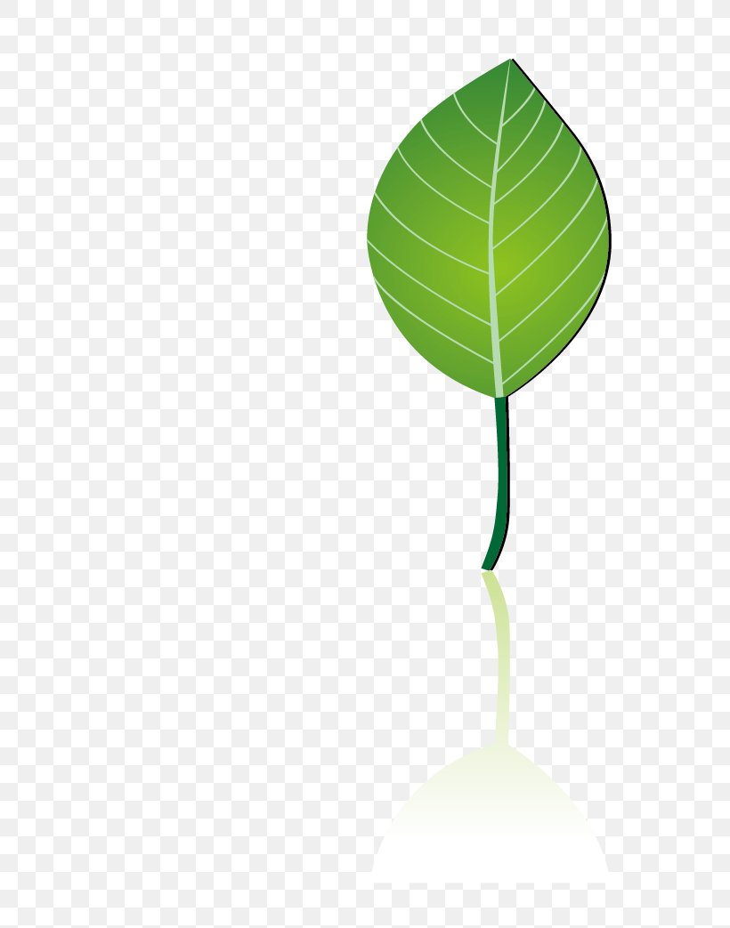Leaf Green Water Pattern, PNG, 685x1043px, Leaf, Green, Plant, Tree, Water Download Free