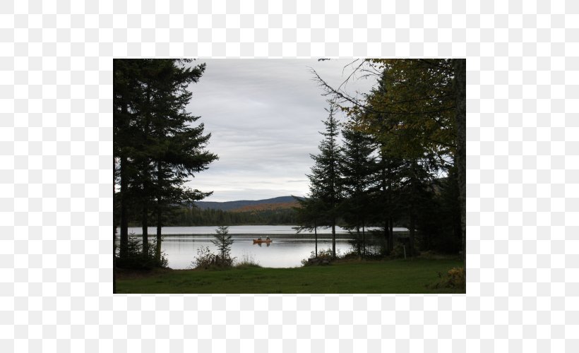 Property Loch Lake District Land Lot State Park, PNG, 500x500px, Property, Bayou, Cottage, Inlet, Lake Download Free